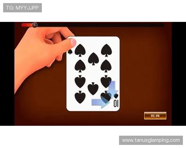 二八杠棋牌高手实战经验分享，助你快速提升牌技赢取更多奖励