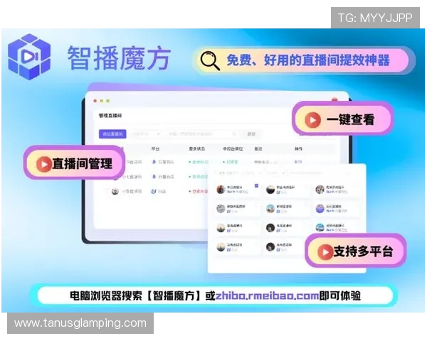 掌握正规视讯技巧实现游戏直播内容专业化提升粉丝转化率的实用策略