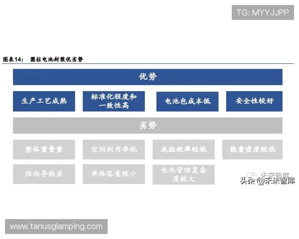 永利pt电子娱乐官网专业的技术保障确保账户安全，提供全天候的在线客服支持服务