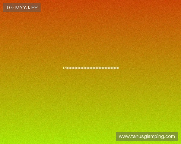 12博体育打造世界杯专题报道，深入分析各大热门球队的战术布局与明星球员表现